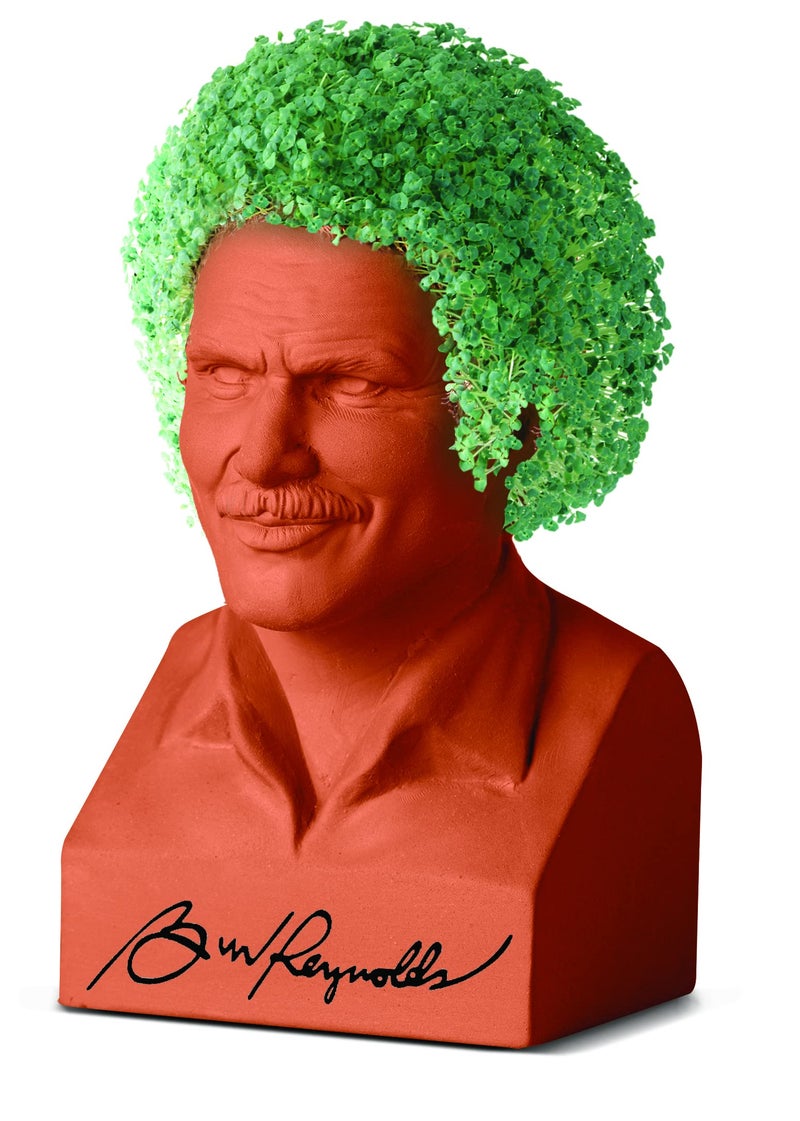 Chia Pet Burt Reynolds with Seed Pack, Decorative Pottery Planter, Easy to Do and Fun to Grow, Novelty Gift, Perfect for Any Occasion - Image 3