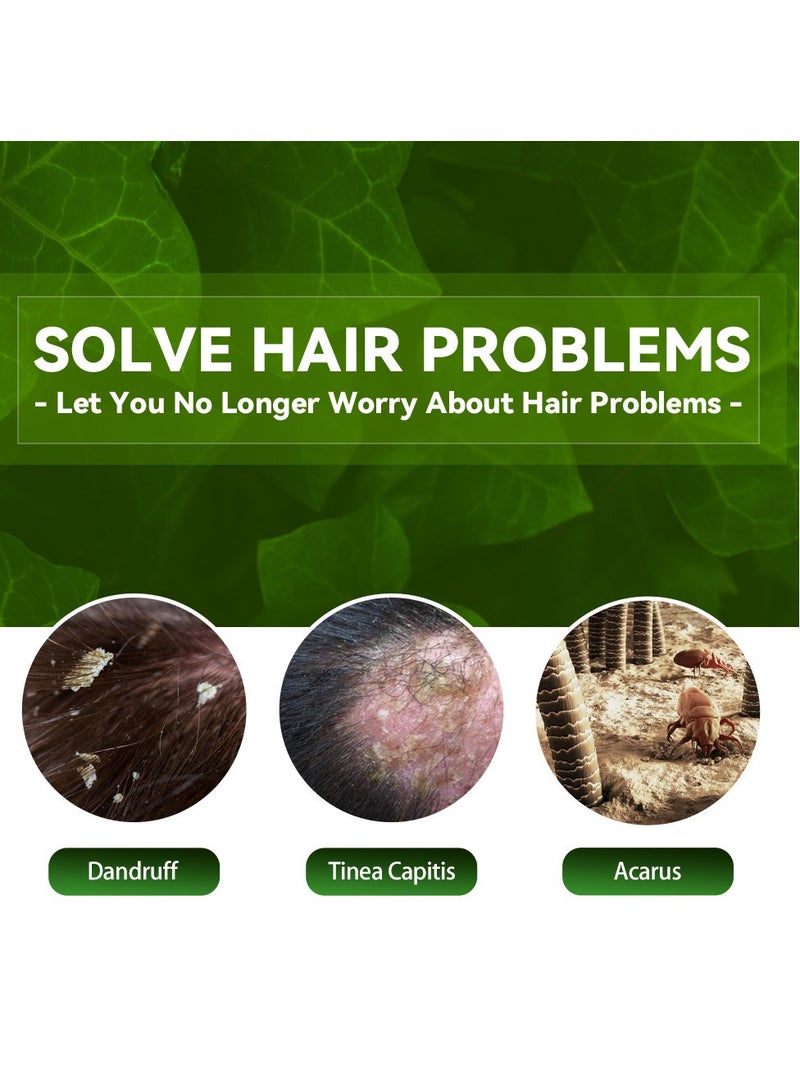 EELHOE Tinea Capitis Antipruritic Hair Shampoo, Anti-Dandruff Shampoo, Shampoo For Scalp Prone To Folliculitis, Dermatitis, Dandruff, Mites, Itchy And Flaky Scalp, Treats Dandruff And Seborrheic Dermatitis - Image 3