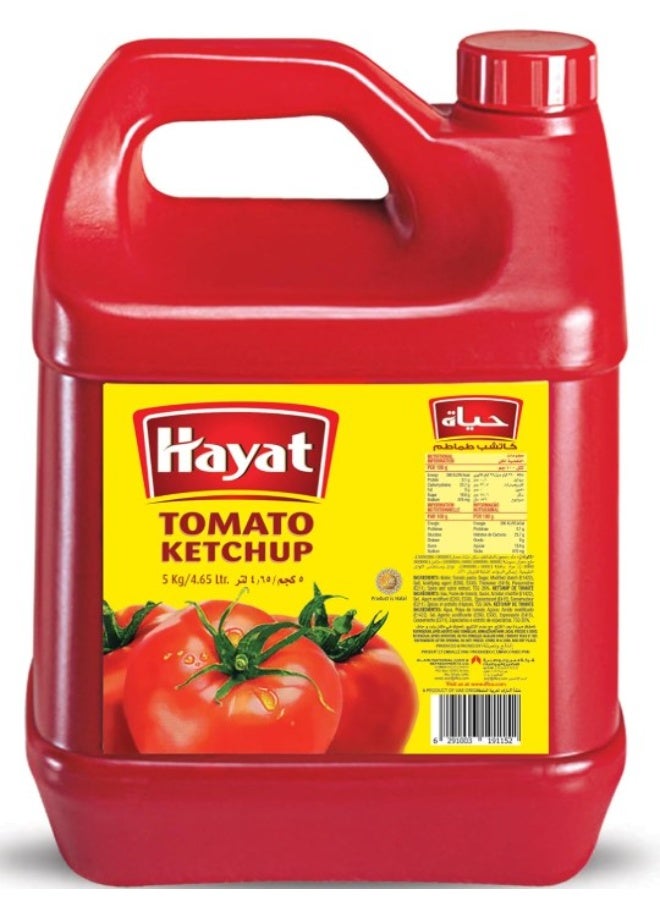 Hayat Tomato Ketchup 5 kg