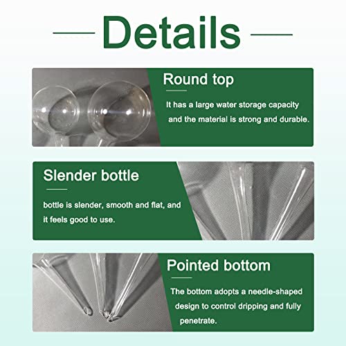 Bvrbaory 8 Pcs Clear Plant Watering Globes,Plastic Self-Watering Bulbs,Automatic Watering Globes,Garden Water Device for Plant Indoor Outdoor - Image 3