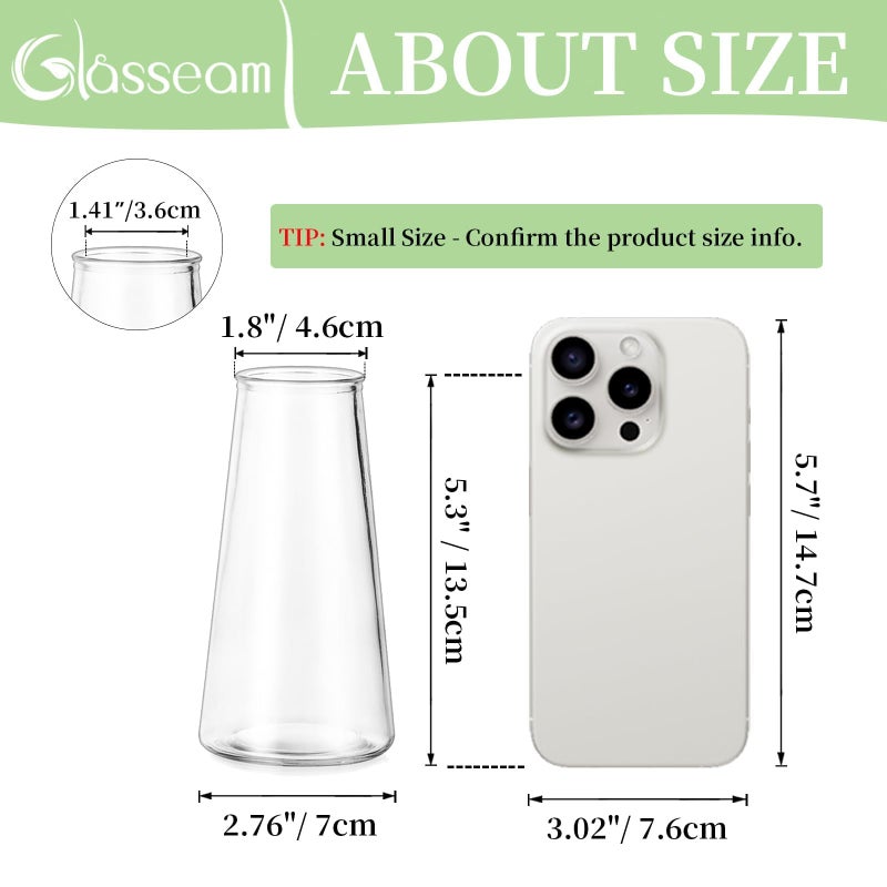 Glasseam Clear Flower Vases for Centerpieces: Modern Glass Vase Set of 12 for Wedding Party Centerpiece Home Table Decor 5.5In Small Bud Vases for Flowers Rose Tulip Stems - Image 2