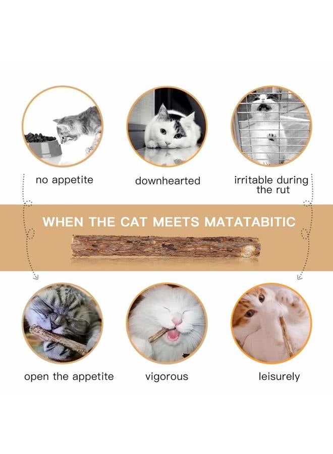 WoLover Cat Catnip Sticks Natural Matatabi Silvervine Sticks - Cleaning Teeth Molar Tools Kitten Cat Chew Toy Natural Catnip Cat Toy (10 PCS) - Image 5