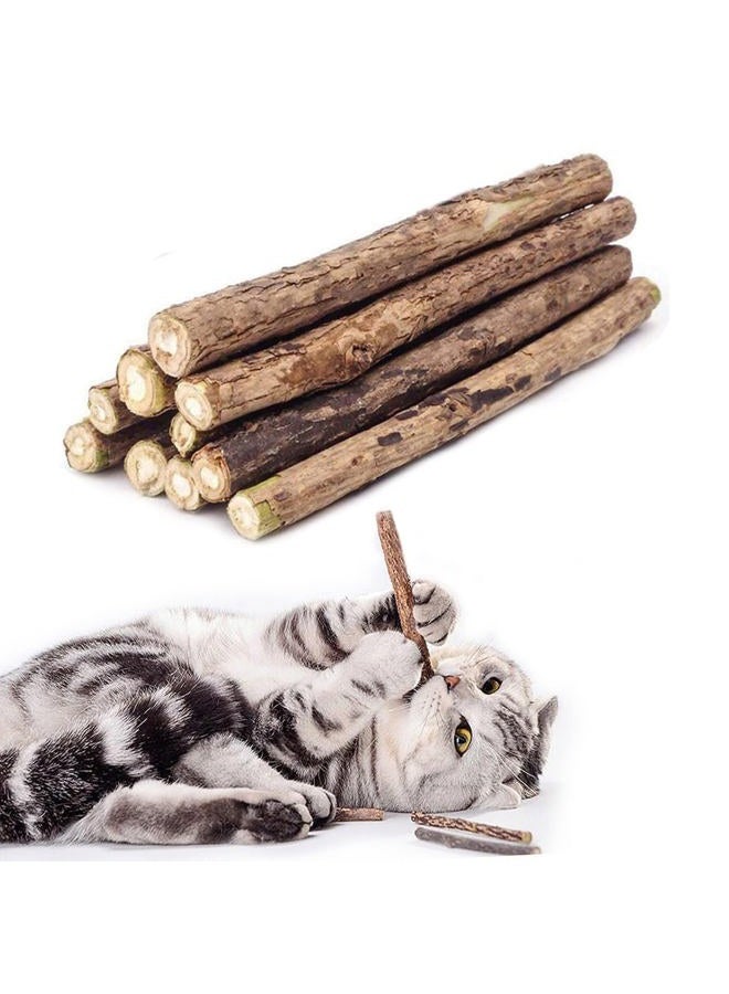 WoLover Cat Catnip Sticks Natural Matatabi Silvervine Sticks - Cleaning Teeth Molar Tools Kitten Cat Chew Toy Natural Catnip Cat Toy (10 PCS) - Image 1