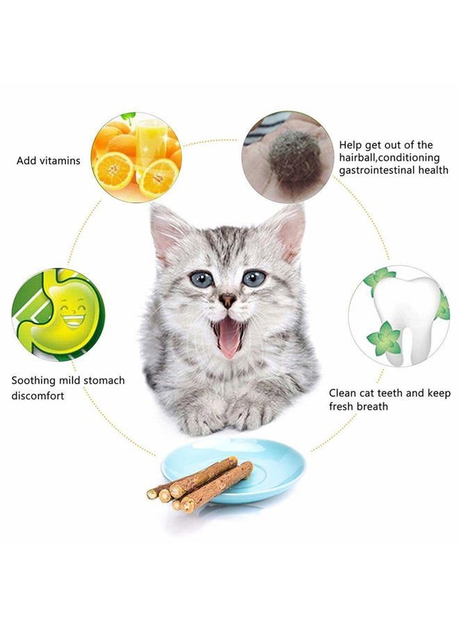 WoLover Cat Catnip Sticks Natural Matatabi Silvervine Sticks - Cleaning Teeth Molar Tools Kitten Cat Chew Toy Natural Catnip Cat Toy (10 PCS) - Image 2