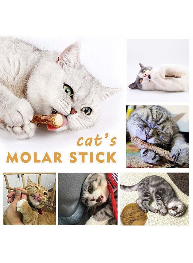 WoLover Cat Catnip Sticks Natural Matatabi Silvervine Sticks - Cleaning Teeth Molar Tools Kitten Cat Chew Toy Natural Catnip Cat Toy (10 PCS) - Image 4