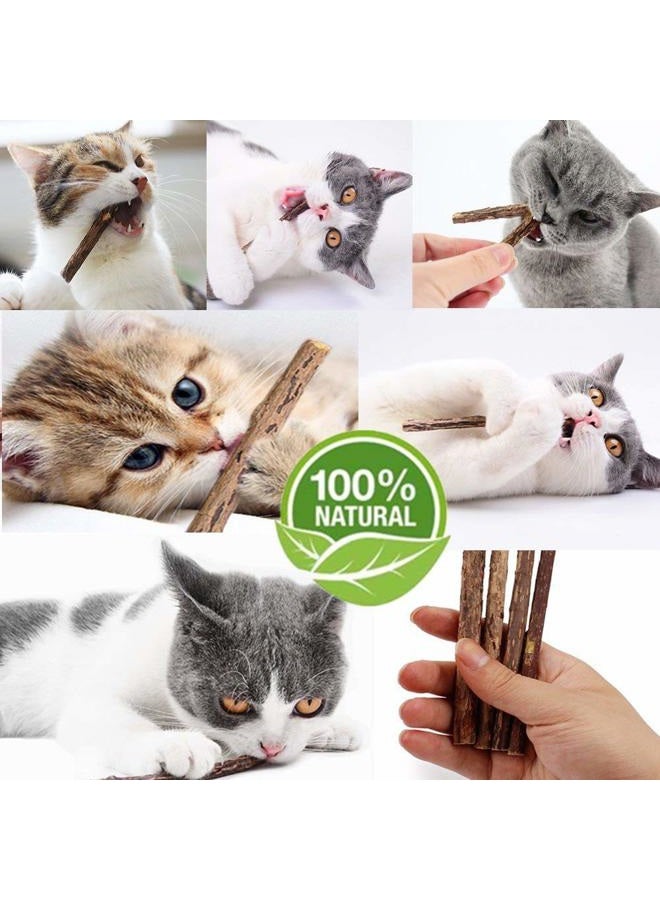 WoLover Cat Catnip Sticks Natural Matatabi Silvervine Sticks - Cleaning Teeth Molar Tools Kitten Cat Chew Toy Natural Catnip Cat Toy (10 PCS) - Image 3