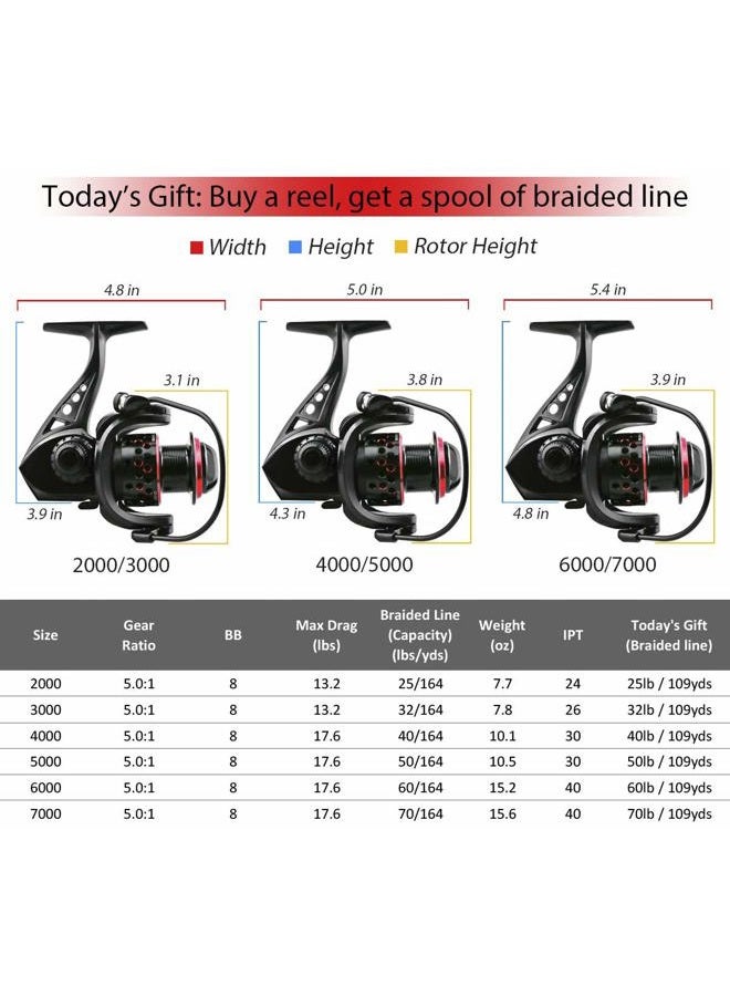 Dorisea Fishing Reel 7+1 Stainless Steel BB Ultra Smooth Aluminum Spinning Fishing Reel,Lightweight Spinning Reel for Freshwater Saltwater Fishing, Come with 109 yds Braided Line (CF2000) - Image 5