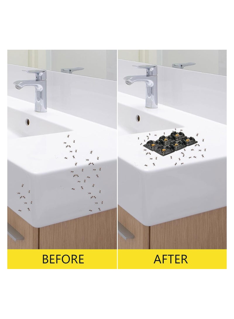 SOLARAE 48 قطعة مصيدة قاتل النمل مصائد العناكب مصائد الحشرات الفعالة مصائد النمل الداخلية طُعم النمل مصائد الغراء للحشرات في الهواء الطلق المنزل المطبخ صراصير الحشرات الزاحفة، آمنة للحيوانات الأليفة والأطفال - Image 3