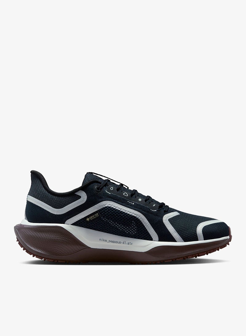 Nike Air Zm Pegasus 41 Gtx - Image 1