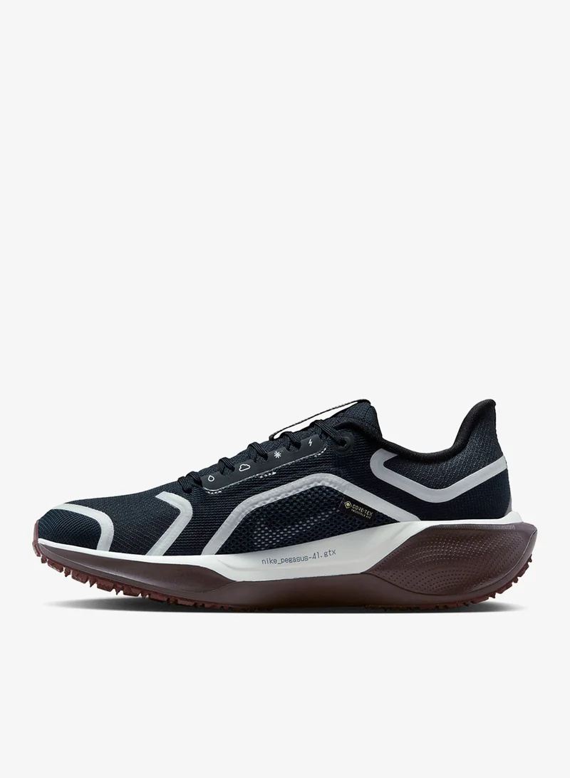 Nike Air Zm Pegasus 41 Gtx