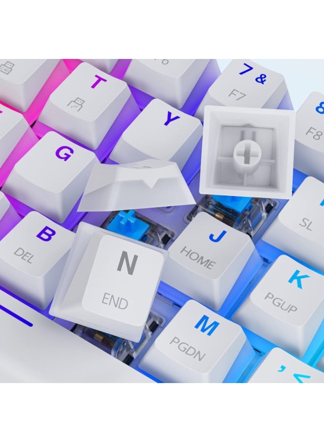 Tezarre TK63 Pro Wireless Keyboard Bluetooth/2.4G/USB Wired 60% Mechanical Gaming Keyboard RGB Backlit PBT Pudding Keycaps Hot-Swappable (Gateron Red Switch)  - Image 4