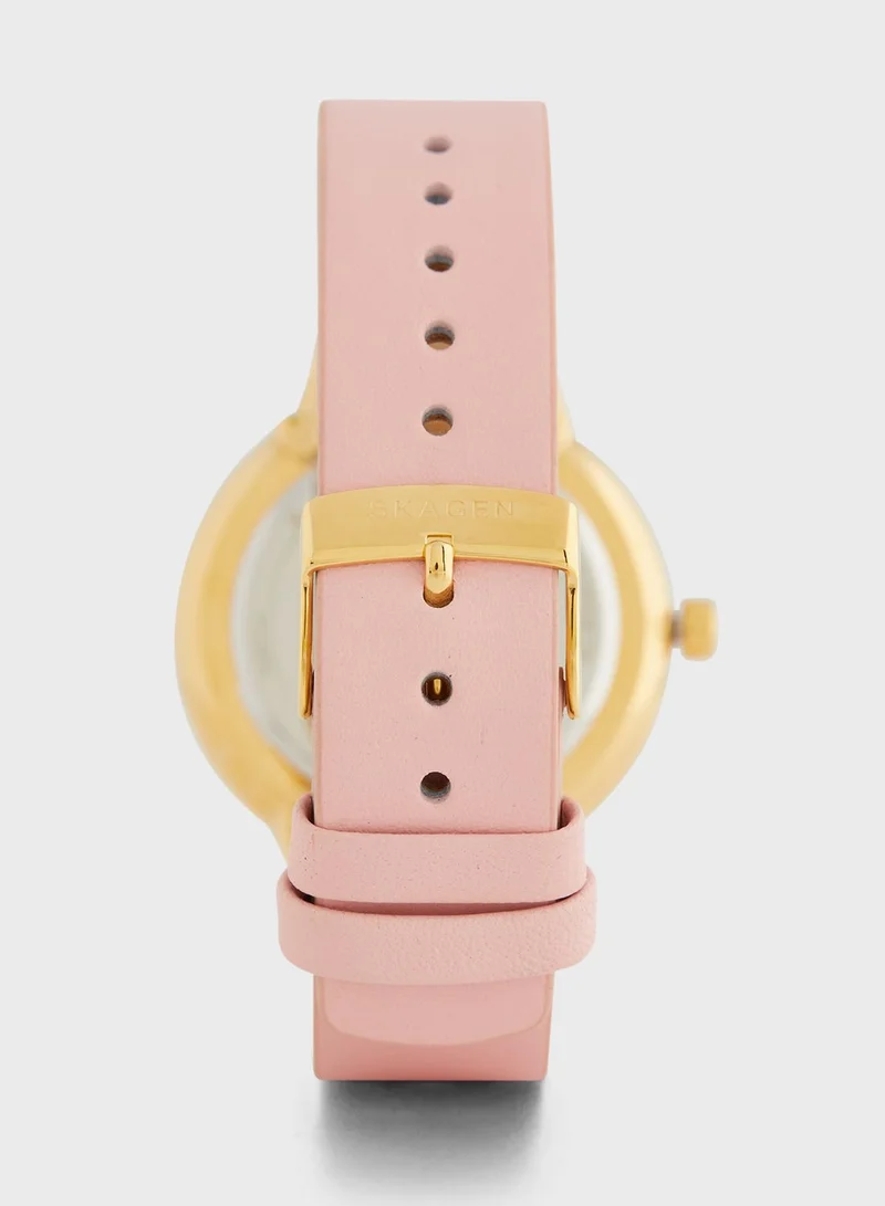 Skagen Riis Pu Strap Analog Watch