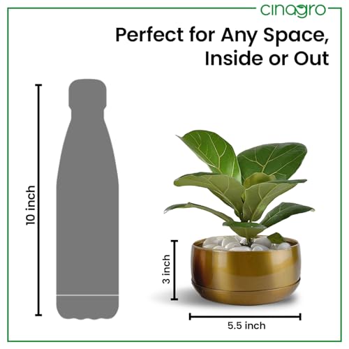 CINAGRO Metal Planter Pot for Indoor Plants, Round Decorative Flower Pot, Rust-Resistant, Modern Plant Holder for Home, Balcony, Office (13.97 x 7.62 cm, Pulse Nest - Gold) - Image 4