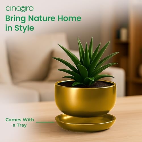 CINAGRO Metal Planter Pot for Indoor Plants, Round Decorative Flower Pot, Rust-Resistant, Modern Plant Holder for Home, Balcony, Office (13.97 x 7.62 cm, Pulse Nest - Gold) - Image 5