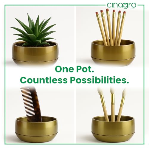CINAGRO Metal Planter Pot for Indoor Plants, Round Decorative Flower Pot, Rust-Resistant, Modern Plant Holder for Home, Balcony, Office (13.97 x 7.62 cm, Pulse Nest - Gold) - Image 3