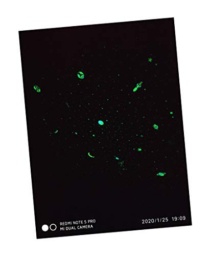 JASH Glow in The Dark Paint Powder 50gm (Yellow Green) - Image 4