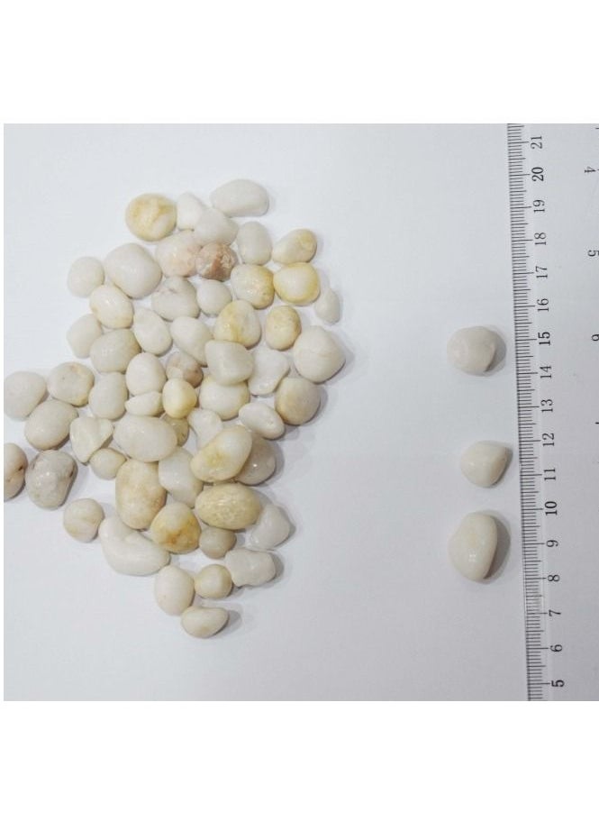 Generic - Aquarium Pebbles Natural Gravel Fish Tank Stones - Image 1