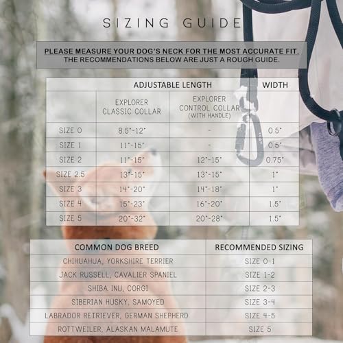 Roam Made to ROAM Premium Dog Collar - Adjustable Heavy Duty Nylon Collar with Quick-Release Metal Buckle (Nevada Evening, Classic Size 4) - Image 5