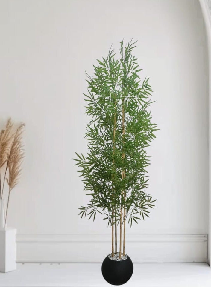 بيت الرواسم شجر اغصان البامبو مع اصيص اسود 210سم اجلع منزلك اكثر اناقه - Image 4
