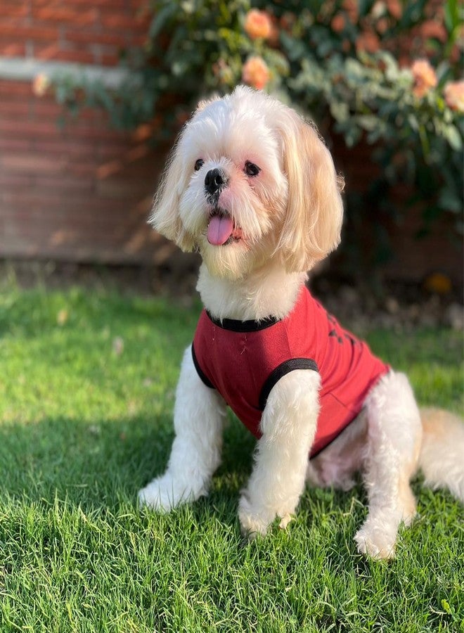 Lulala Dog Shirts with Mama's BOY Pattern Casual T-Shirt Summer Printed Soft Breathable Puppy Sweatshirt Cool Outfit Apparel for Puppies, Kittens, Rabbits (Red, 10 INCH) - Image 3