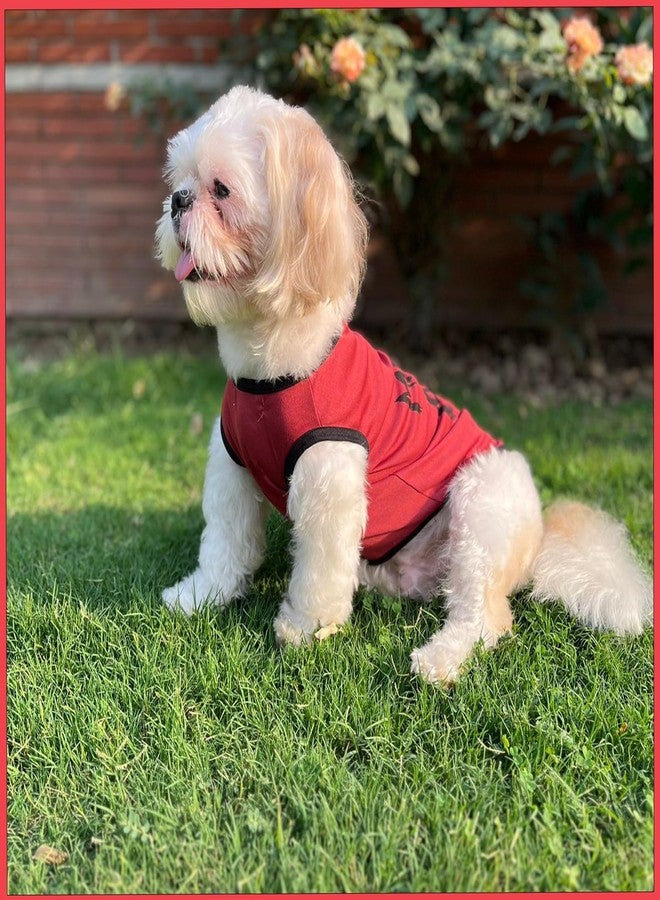 Lulala Dog Shirts with Mama's BOY Pattern Casual T-Shirt Summer Printed Soft Breathable Puppy Sweatshirt Cool Outfit Apparel for Puppies, Kittens, Rabbits (Red, 10 INCH) - Image 1