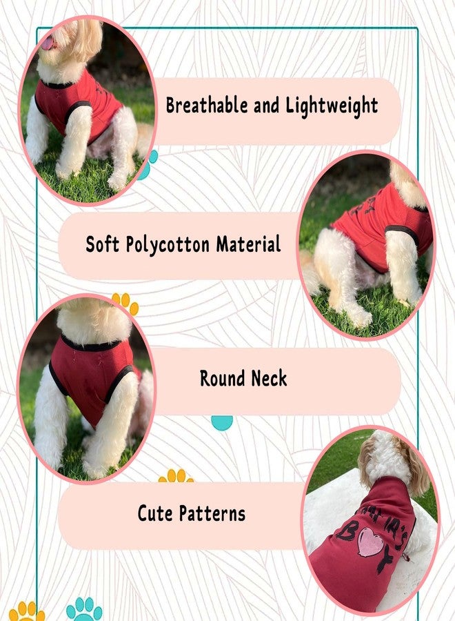 Lulala Dog Shirts with Mama's BOY Pattern Casual T-Shirt Summer Printed Soft Breathable Puppy Sweatshirt Cool Outfit Apparel for Puppies, Kittens, Rabbits (Red, 10 INCH) - Image 5