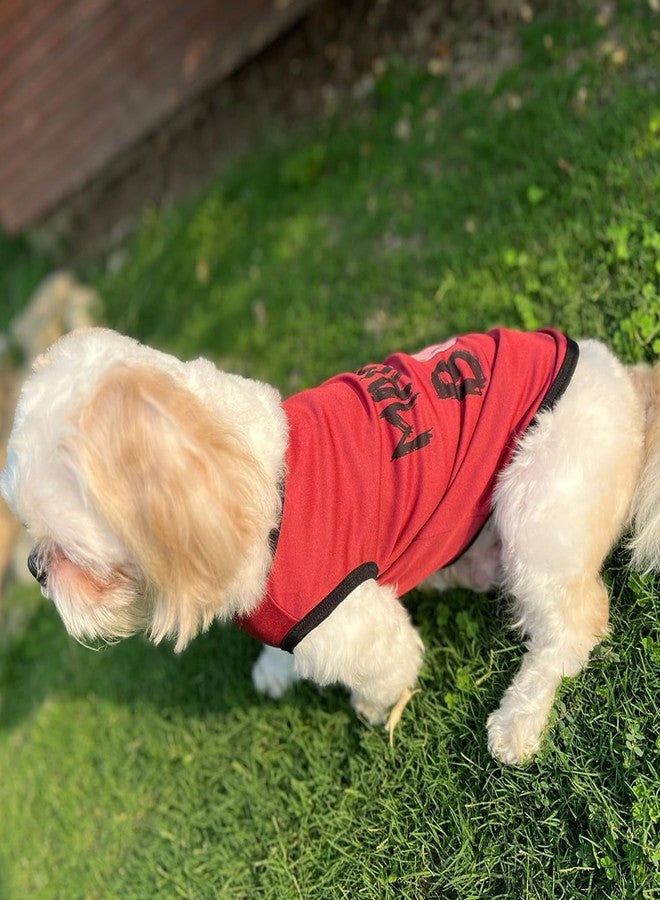 Lulala Dog Shirts with Mama's BOY Pattern Casual T-Shirt Summer Printed Soft Breathable Puppy Sweatshirt Cool Outfit Apparel for Puppies, Kittens, Rabbits (Red, 10 INCH) - Image 2