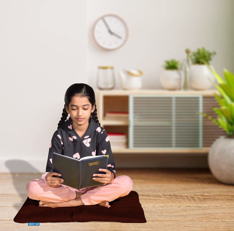NEXTGO Floor Mat Puja Aasan 2Feet x 2Feet | Velvet Makhmal Fabric Microfiber Filling Floor Aasan for Dinner, Puja, Meditation, Garden, Yoga Mat for Home Office Ghar | Pack of 2 Coca Brown - Image 3