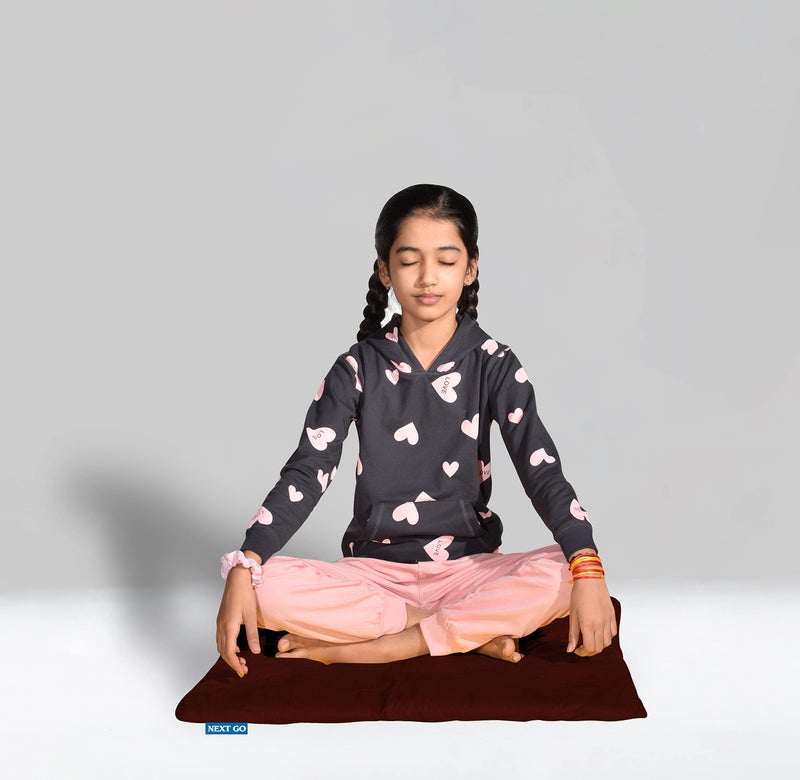 NEXTGO Floor Mat Puja Aasan 2Feet x 2Feet | Velvet Makhmal Fabric Microfiber Filling Floor Aasan for Dinner, Puja, Meditation, Garden, Yoga Mat for Home Office Ghar | Pack of 2 Coca Brown - Image 5