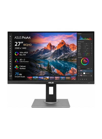 ASUS 27 inch ProArt WQHD (2560 x 1440) Monitor, 100% sRGB/Rec. 709 ΔE < 2, IPS, DisplayPort HDMI DVI-D Mini DP, 75 Hz, Calman Verified, Eye Care, Anti