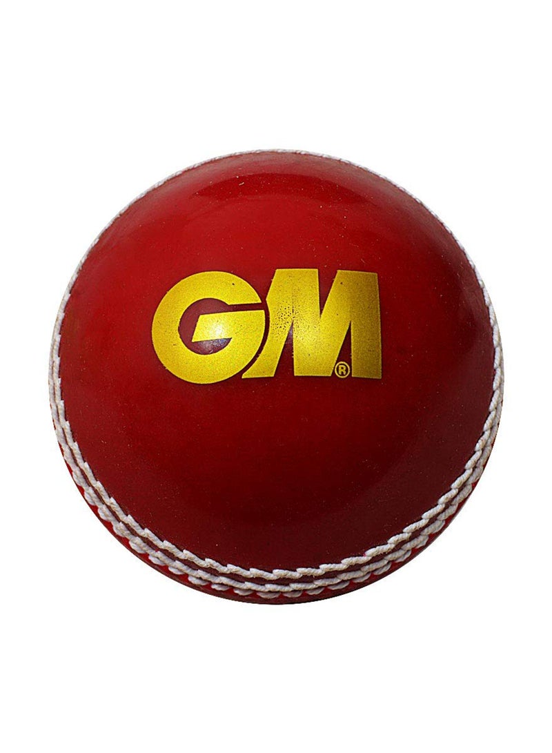 GM مهارة كرة التنس والكريكيت الناعمة - Image 4