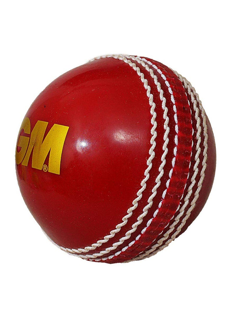 GM مهارة كرة التنس والكريكيت الناعمة - Image 3