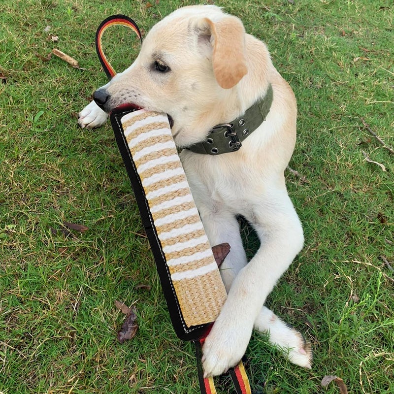 Indusoire Dog Toys, Interactive Dog Toys Leather Bite Rag, Durable Dog Bite Tug Toy for Puppy, Teeth Cleaning and Training(11.8 * 2.8in) - Image 2