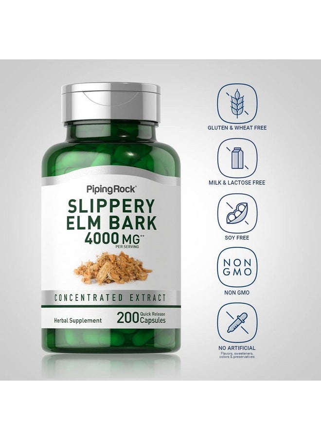 Slippery Elm Bark Powder Capsules 4000Mg  200 Count  Herbal Supplement - pzsku/Z1B313BF82604BE9690A1Z/45/_/1694545173/236ded38-f2a5-455f-9bab-12529fbb37fd