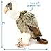TigerHart Violet The Vulture 12 Inch Stuffed Animal Plush Buzzard Bird - Image 4