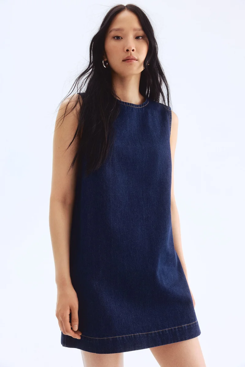 H&M Denim shift dress