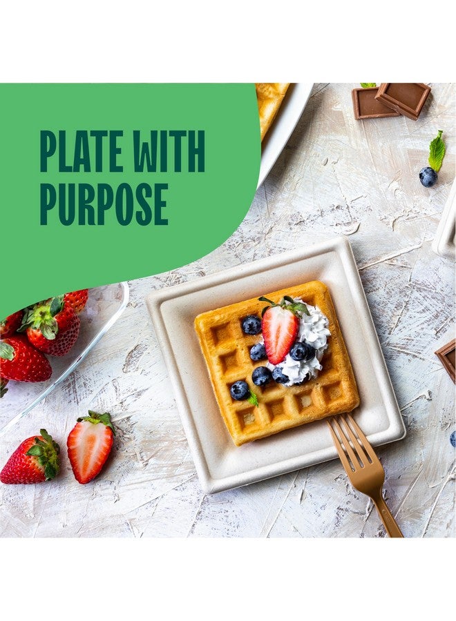 Stack Man 100% Compostable Square Paper Plates [6x6 inch - 50-Pack] Elegant Disposable Plates Heavy-Duty Quality, Natural Bagasse Unbleached, Eco-Friendly Made of Sugar Cane Fibers, 6" Biodegradable Plate - Image 3