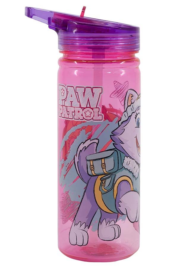 nickelodeon زجاجة ماء فتاة باو باترول من نيكلوديون إيكو زين 580 مل - Image 3