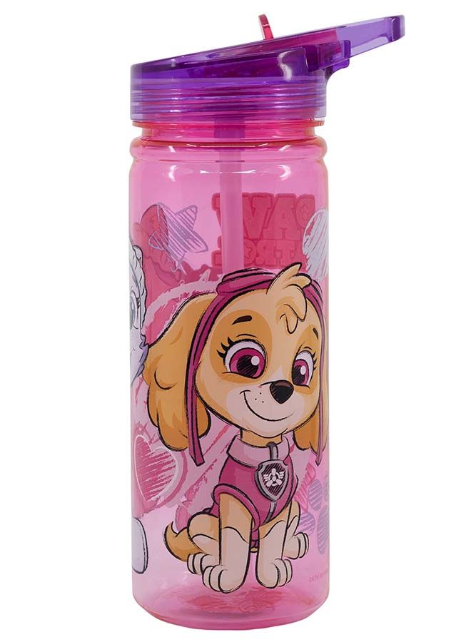 nickelodeon زجاجة ماء فتاة باو باترول من نيكلوديون إيكو زين 580 مل - Image 2