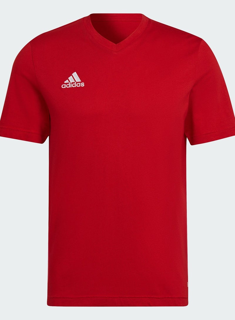 Adidas ENT22 TEE           TEPORE - Image 1
