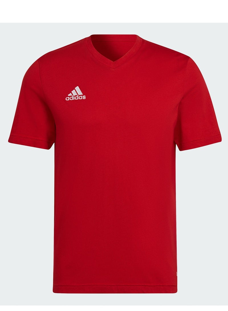 Adidas ENT22 TEE           TEPORE - Image 2