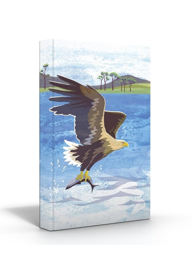 Nature Notebook: Sea Eagle  - Image 2