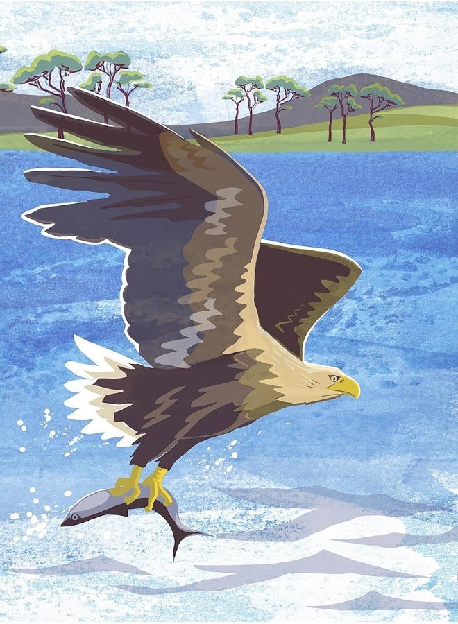 Nature Notebook: Sea Eagle  - Image 1