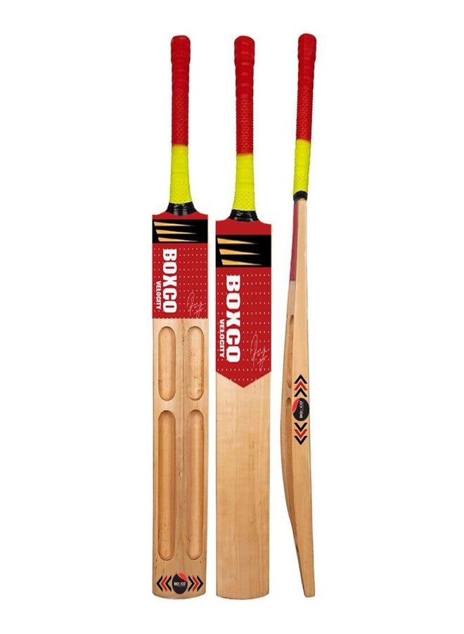 BOXCO Velocity Wooden Cricket Bat with Tennis Ball Durable Bat & Hanging Practice Ball Set - Image 2