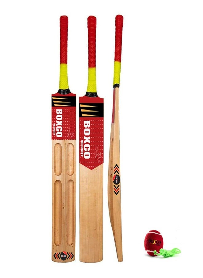 BOXCO Velocity Wooden Cricket Bat with Tennis Ball Durable Bat & Hanging Practice Ball Set - Image 1