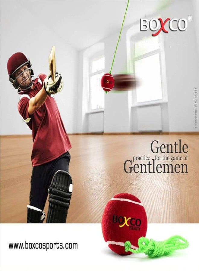 BOXCO Velocity Wooden Cricket Bat with Tennis Ball Durable Bat & Hanging Practice Ball Set - Image 4