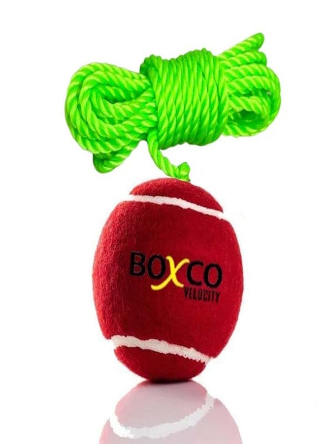 BOXCO Velocity Wooden Cricket Bat with Tennis Ball Durable Bat & Hanging Practice Ball Set - Image 3
