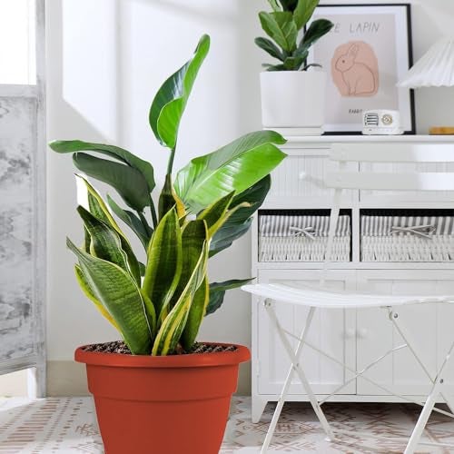 IMAGINEA 18 Inch Flower Pots for Home Decoration | Pack of 6| Lightweight Indoor Outdoor Plastic Gamla for Living Room, Balcony, Garden Pots Tree Planter Container Planter - Image 4