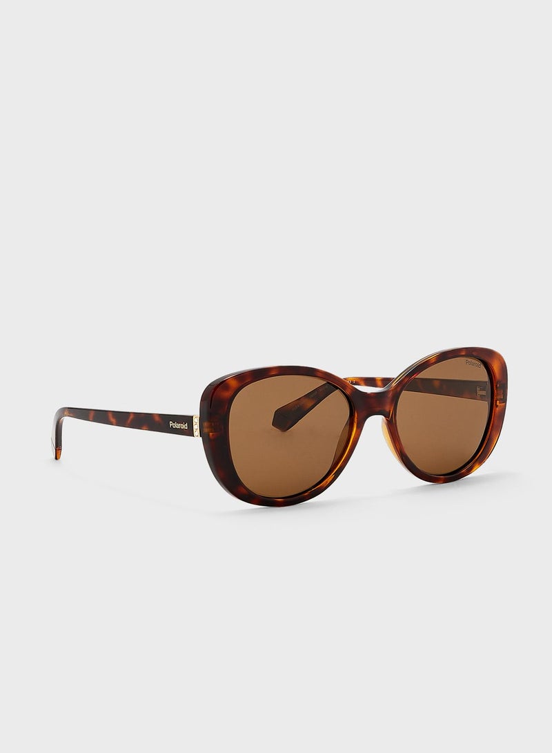 Polaroid Wayfarers Sunglasses - Image 1