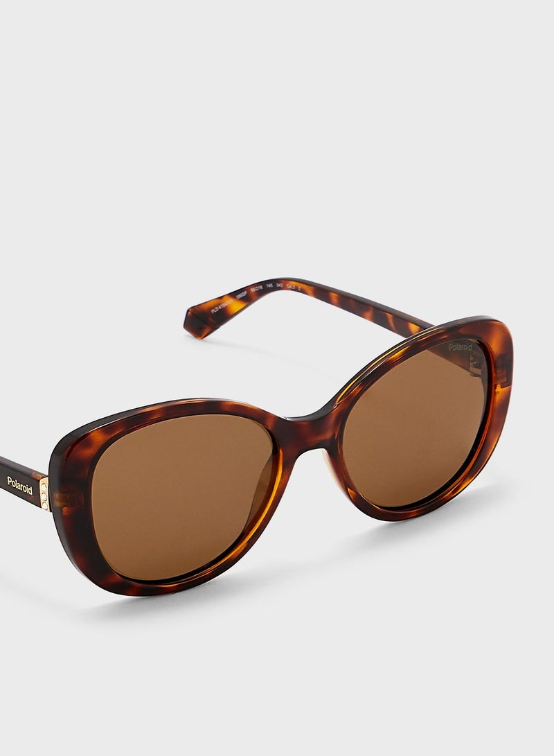 Polaroid Wayfarers Sunglasses - Image 3